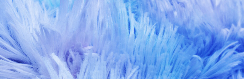 The Soft Side of Tech 12 Soft Skills Every Hiring Manager Should Look For