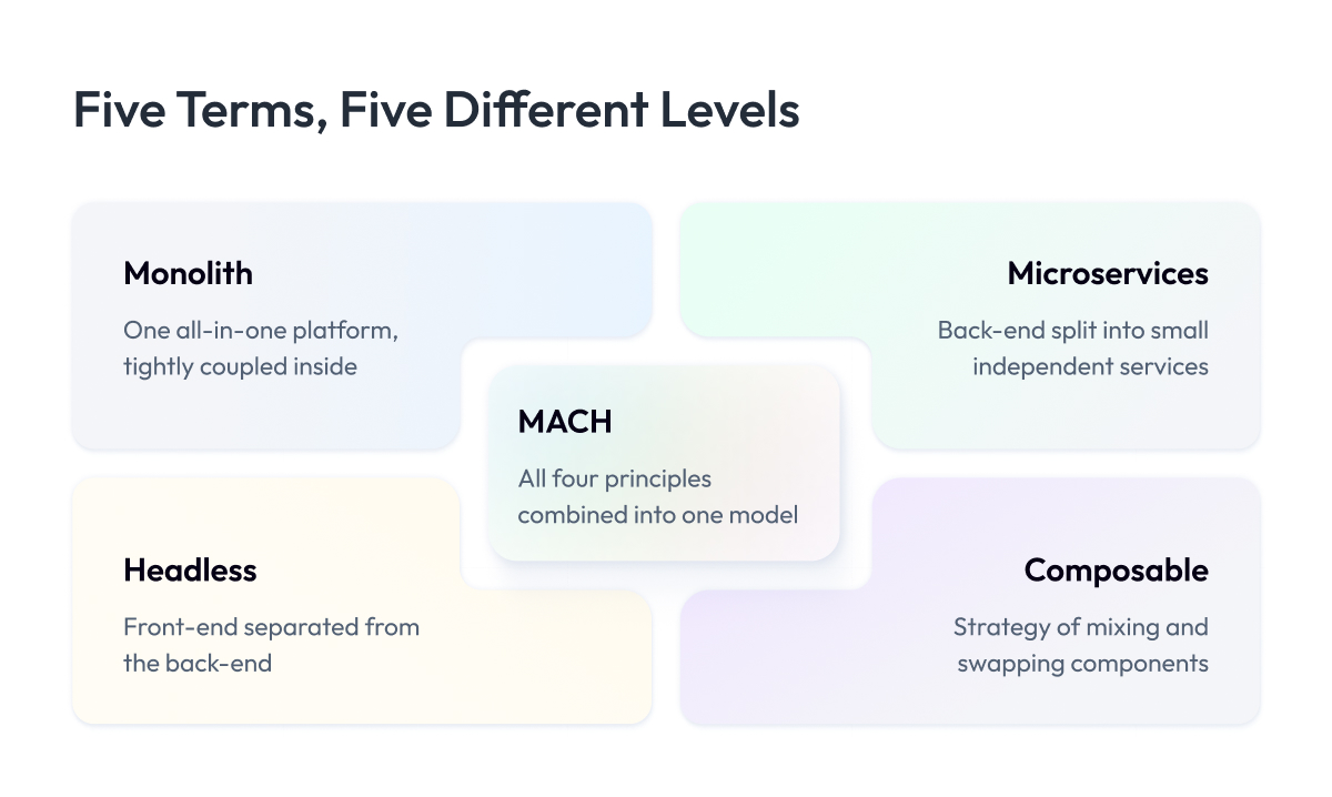 Five Terms, Five Different Levels